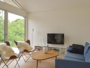 23738303-Ferienhaus-6-Skals-300x225-2