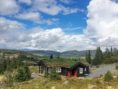 Outdoor Outdoor