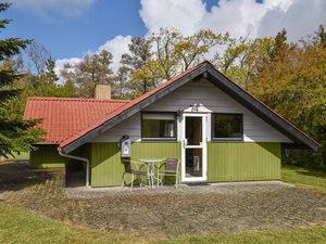 Ferienhaus für 6 Personen (71 m²) in Skjern