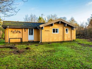 Ferienhaus für 4 Personen (40 m²) in Skjern