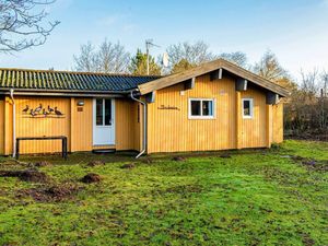 Ferienhaus für 4 Personen (40 m²) in Skjern