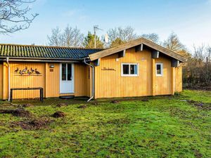 Ferienhaus für 4 Personen (40 m&sup2;) in Skjern