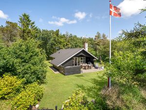 Ferienhaus für 6 Personen (80 m&sup2;) in Skjern