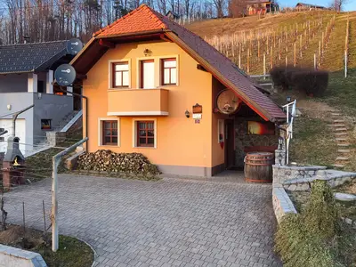 Ferienhaus für 4 Personen (42 m²) in Škocjan 2/10