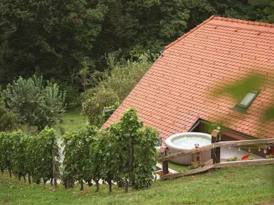 Ferienhaus für 4 Personen (42 m²) in Škocjan 4/10