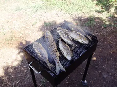 Ferienhaus für 6 Personen (70 m²) in Slatine 4/10