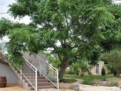 outside