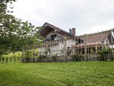 Ferienhaus für 4 Personen (56 m²) in Smarjeske Toplice 6/10