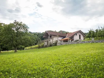 Ferienhaus für 4 Personen (56 m²) in Smarjeske Toplice 7/10