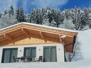 Ferienhaus für 6 Personen (80 m²) in Söll