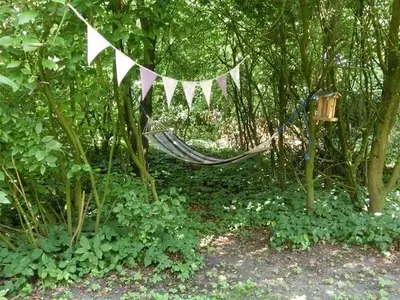 Ferienhaus für 4 Personen (80 m²) in Sögel 5/10