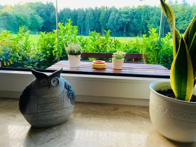 Ferienhaus für 4 Personen (70 m²) in Sögel 5/10