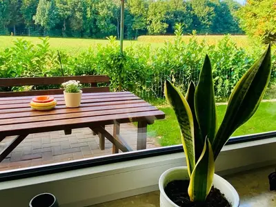 Ferienhaus für 4 Personen (70 m²) in Sögel 6/10