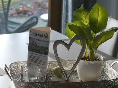 Ferienhaus für 4 Personen (110 m²) in Sögel 10/10