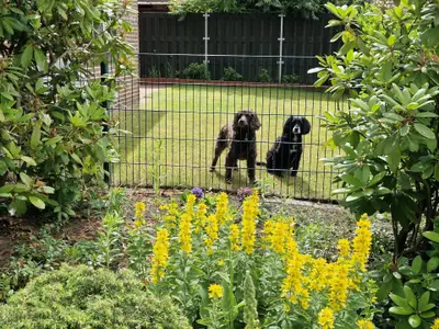 Ferienhaus für 5 Personen (110 m²) in Sögel 3/10