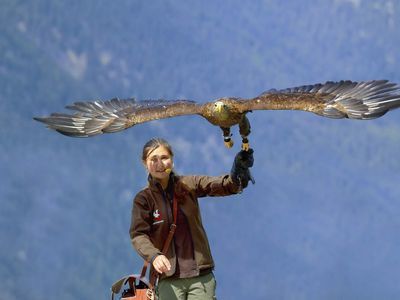 Greifvogelpark2 Gebhard Schranz TVB Oetztal Soelde