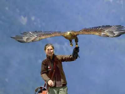 Greifvogelpark2 Gebhard Schranz TVB Oetztal Soelde