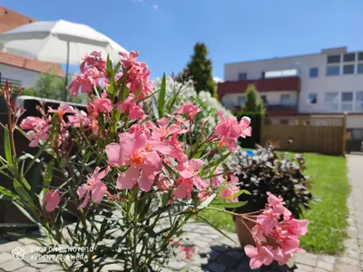 Garten (Ferienhausanlage)