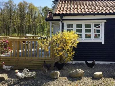 Outdoor