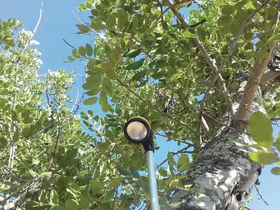 outside