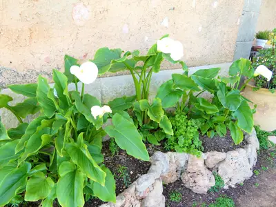 Bild 6 Bild 6