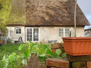 Ferienhaus für 5 Personen (65 m²) in Spandowerhagen