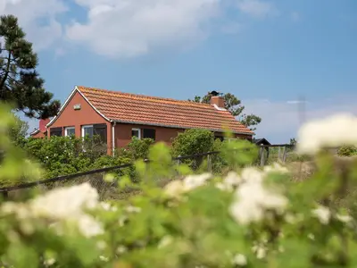 Ferienhaus für 4 Personen (58 m²) in Spiekeroog 4/10