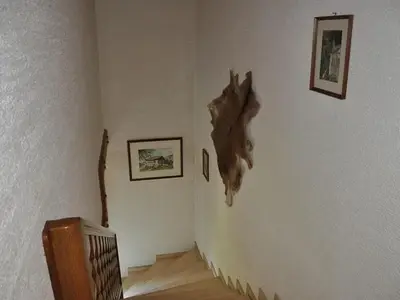 Ferienhaus für 3 Personen (20 m²) in Spital am Pyhrn 5/10