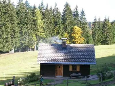 Ferienhaus für 7 Personen (75 m²) in Spital am Pyhrn 7/10