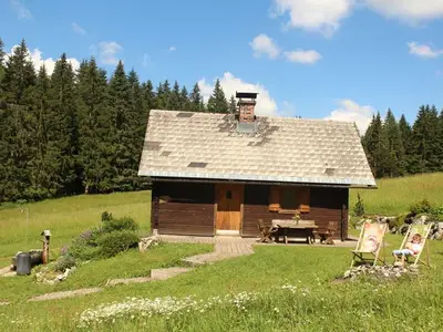 Ferienhaus für 7 Personen (75 m²) in Spital am Pyhrn 9/10