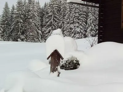 Ferienhaus für 7 Personen (75 m²) in Spital am Pyhrn 8/10