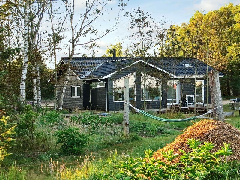 19319957-Ferienhaus-6-Spøttrup-800x600-1