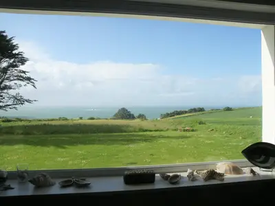 ViewSummer