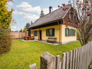 23842908-Ferienhaus-5-St. Johann am Tauern-300x225-3