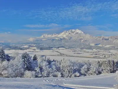 ViewWinter