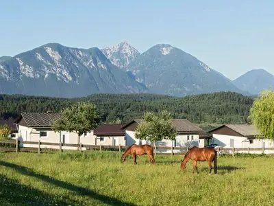 Ferienhaus für 5 Personen (60 m²) in St.Kanzian am Klopeiner See 3/10