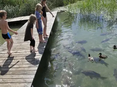 Ferienhaus für 5 Personen (60 m²) in St.Kanzian am Klopeiner See 9/10