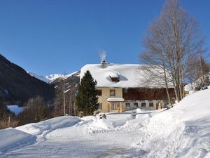 23308885-Ferienhaus-9-St. Margarethen im Lungau-300x225-2