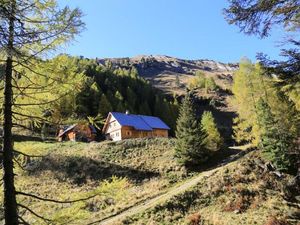 22406851-Ferienhaus-8-St. Michael im Lungau-300x225-1