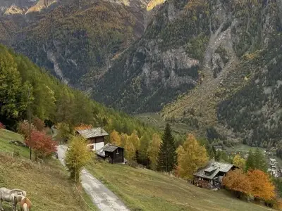 Aussicht vom Chalet