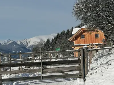 IMG-20241207-WA0010[1]