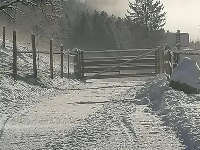 IMG-20241207-WA0005[1]