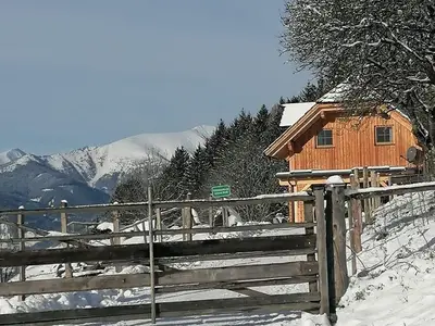 Ferienhaus für 6 Personen (120 m²) in St. Peter am Kammersberg 5/10