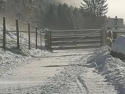 Ferienhaus für 6 Personen (120 m²) in St. Peter am Kammersberg 8/10