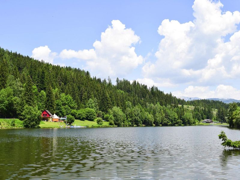 23288310-Ferienhaus-4-St. Peter-Freienstein-800x600-2