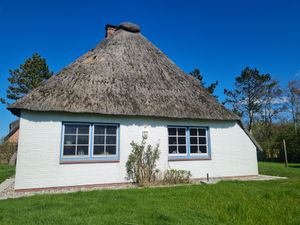 23648363-Ferienhaus-6-St. Peter-Ording-300x225-2