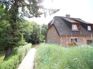 23659665-Ferienhaus-6-St. Peter-Ording-300x225-3