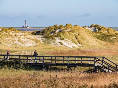 Dünenlandschaft