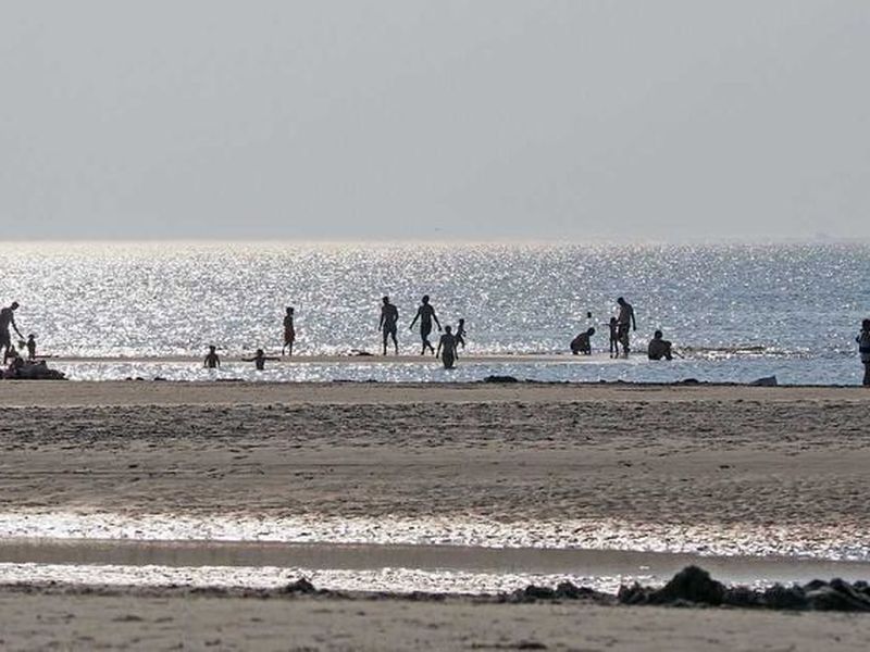 21712081-Ferienhaus-6-St. Peter-Ording-800x600-0