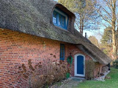 Ferienhaus für 6 Personen (125 m²) in St. Peter-Ording 5/10